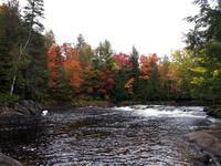 Ost-Kanada zum Indian Summer - Algonquin Provinz-Park
