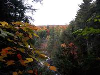 Ost-Kanada zum Indian Summer - Algonquin Provinz-Park