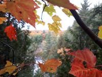 Ost-Kanada zum Indian Summer - Algonquin Provinz-Park