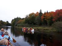 Ost-Kanada zum Indian Summer - Kanutour im Algonquin Provinz-Park