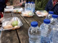 Ost-Kanada zum Indian Summer - Picknick im Algonquin Provinz-Park