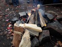 Ost-Kanada zum Indian Summer - Picknick im Algonquin Provinz-Park