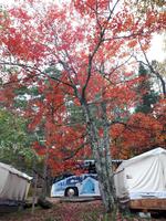 Ost-Kanada zum Indian Summer - Algonquin Provinz-Park