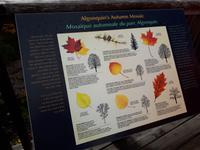 Ost-Kanada zum Indian Summer - Algonquin-Besucherzentrum