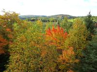 Ost-Kanada zum Indian Summer - Algonquin-Besucherzentrum