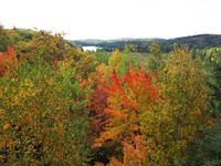 Ost-Kanada zum Indian Summer - Algonquin-Besucherzentrum