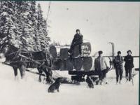 Ost-Kanada zum Indian Summer - Algonquin Provinz-Park