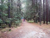 Ost-Kanada zum Indian Summer - Algonquin Provinz-Park