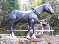 Ost-Kanada zum Indian Summer - Algonquin Provinz-Park