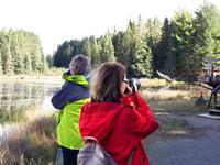 Ost-Kanada zum Indian Summer - Algonquin Provinz-Park