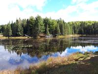 Ost-Kanada zum Indian Summer - Algonquin Provinz-Park
