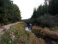 Ost-Kanada zum Indian Summer - Algonquin Provinz-Park