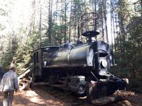 Ost-Kanada zum Indian Summer - Algonquin Provinz-Park