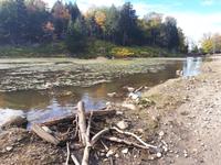 Ost-Kanada zum Indian Summer - Omega-Wildtierpark