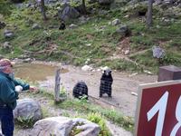 Ost-Kanada zum Indian Summer - Omega-Wildtierpark