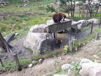 Ost-Kanada zum Indian Summer - Omega-Wildtierpark