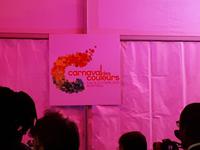 Ost-Kanada zum Indian Summer - Montreal