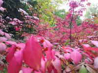 Ost-Kanada zum Indian Summer - Montreal