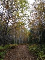 Ost-Kanada zum Indian Summer - Freizeit am Lac Taureau 