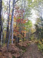 Ost-Kanada zum Indian Summer - Freizeit am Lac Taureau 