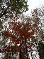 Ost-Kanada zum Indian Summer - Freizeit am Lac Taureau 