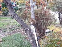 Ost-Kanada zum Indian Summer - Freizeit am Lac Taureau 