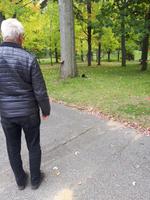 Ost-Kanada zum Indian Summer