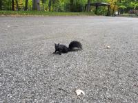 Ost-Kanada zum Indian Summer