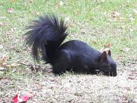 Ost-Kanada zum Indian Summer