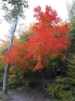 Ost-Kanada zum Indian Summer - Montmorency-Wasserfälle
