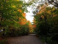 Ost-Kanada zum Indian Summer - Montmorency-Wasserfälle