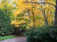 Ost-Kanada zum Indian Summer - Montmorency-Wasserfälle