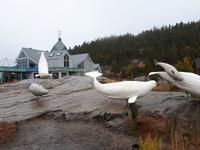 Ost-Kanada zum Indian Summer - Tadoussac