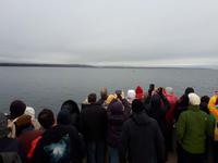 Ost-Kanada zum Indian Summer - Tadoussac, Wahlbeobachtungstour