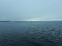 Ost-Kanada zum Indian Summer - Tadoussac, Wahlbeobachtungstour