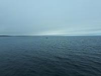 Ost-Kanada zum Indian Summer - Tadoussac, Wahlbeobachtungstour