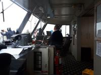 Ost-Kanada zum Indian Summer - Tadoussac, Wahlbeobachtungstour