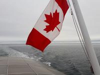 Ost-Kanada zum Indian Summer - Tadoussac, Wahlbeobachtungstour