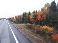 Ost-Kanada zum Indian Summer