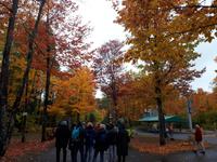 Ost-Kanada zum Indian Summer -  St. Anne Canyon