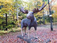 Ost-Kanada zum Indian Summer -  St. Anne Canyon