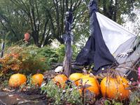 Ost-Kanada zum Indian Summer - Quebec 