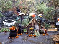 Ost-Kanada zum Indian Summer - Quebec Altstadt