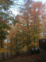 Herbstliche Morgenstimmung in Huntsville