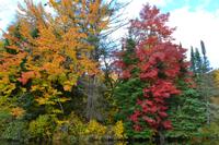 Kanutour auf dem Oxtongue Lake