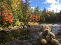 Kanutour auf dem Oxtongue Lake