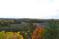 Algonquin Provincial Park - Ausblick vom Besucherzentrum