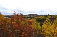 Algonquin Provincial Park - Ausblick vom Besucherzentrum