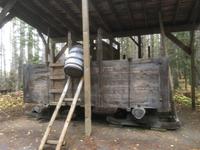 Algonquin Provincial Park - Spaziergang auf dem Logging Trail