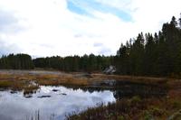 Algonquin Provincial Park - Spaziergang auf dem Logging Trail